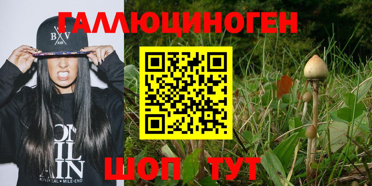 Псилоцибиновые грибы Magic Shrooms Реж